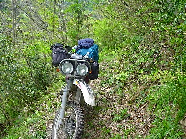 ����352�吼���Q��