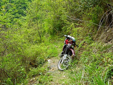 ����352�吼���Q��