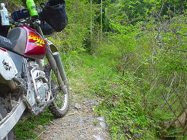 ����352�吼���Q��