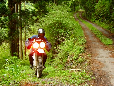 ����352�吼���Q��