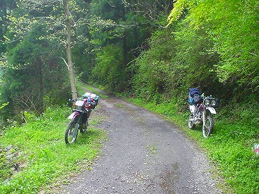 ����352�吼���Q��