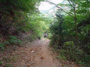 �≺��(�_���ѓ�)2-5�^ORR