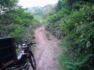 �≺��(�_���ѓ�)2-6�^ORR