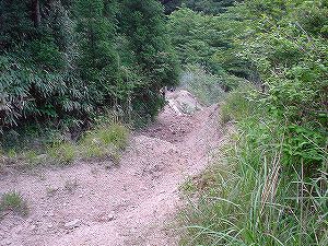 �≺��(�_���ѓ�)3-3�^ORR