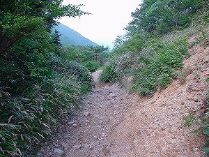 �≺��(�_���ѓ�)4-1�^ORR