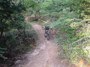 �≺��(�_���ѓ�)7-4�^ORR