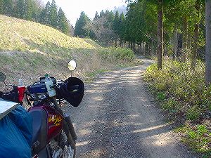 �R�蓻(�{�镟�������P�O�V���Ԉ䔨������)1-4�^ORR