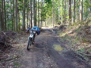 �R�蓻(�{�镟�������P�O�V���Ԉ䔨������)1-6�^ORR