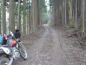 �R�蓻(�{�镟�������P�O�V���Ԉ䔨������)2-1�^ORR