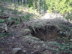 �R�蓻(�{�镟�������P�O�V���Ԉ䔨������)2-4�^ORR