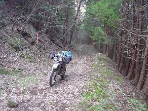 �R�蓻(�{�镟�������P�O�V���Ԉ䔨������)2-5�^ORR