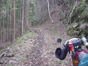 �R�蓻(�{�镟�������P�O�V���Ԉ䔨������)2-6�^ORR