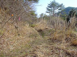 �R�蓻(�{�镟�������P�O�V���Ԉ䔨������)3-2�^ORR