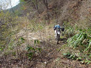 �R�蓻(�{�镟�������P�O�V���Ԉ䔨������)3-3�^ORR