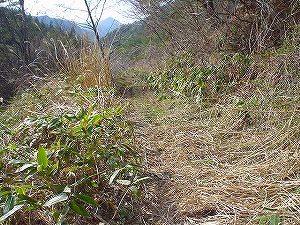 �R�蓻(�{�镟�������P�O�V���Ԉ䔨������)3-4�^ORR