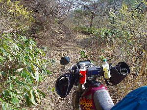 �R�蓻(�{�镟�������P�O�V���Ԉ䔨������)3-5�^ORR