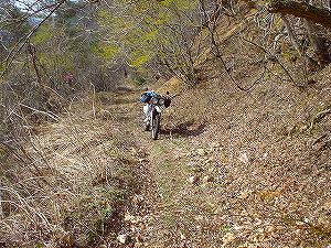 �R�蓻(�{�镟�������P�O�V���Ԉ䔨������)3-6�^ORR