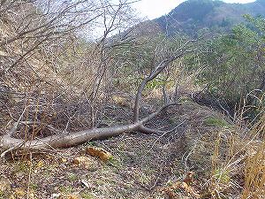 �R�蓻(�{�镟�������P�O�V���Ԉ䔨������)4-1�^ORR