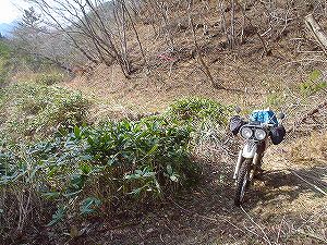 �R�蓻(�{�镟�������P�O�V���Ԉ䔨������)4-2�^ORR