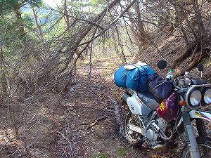 �R�蓻(�{�镟�������P�O�V���Ԉ䔨������)4-3�^ORR