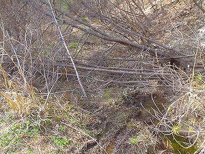 �R�蓻(�{�镟�������P�O�V���Ԉ䔨������)4-4�^ORR