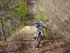 �R�蓻(�{�镟�������P�O�V���Ԉ䔨������)4-5�^ORR