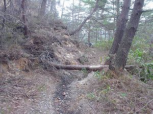 �R�蓻(�{�镟�������P�O�V���Ԉ䔨������)5-1�^ORR