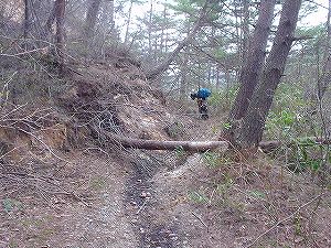 �R�蓻(�{�镟�������P�O�V���Ԉ䔨������)5-3�^ORR