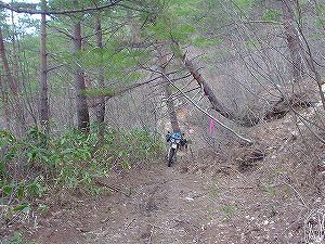 �R�蓻(�{�镟�������P�O�V���Ԉ䔨������)5-4�^ORR