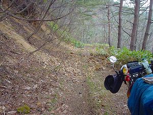 �R�蓻(�{�镟�������P�O�V���Ԉ䔨������)5-5�^ORR