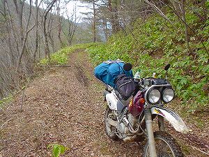 �R�蓻(�{�镟�������P�O�V���Ԉ䔨������)5-6�^ORR