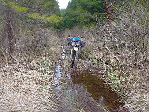 �R�蓻(�{�镟�������P�O�V���Ԉ䔨������)5-7�^ORR