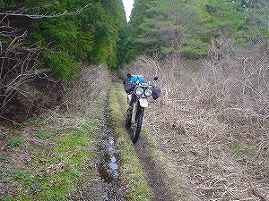 �R�蓻(�{�镟�������P�O�V���Ԉ䔨������)6-1�^ORR