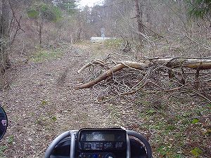 �R�蓻(�{�镟�������P�O�V���Ԉ䔨������)6-2�^ORR