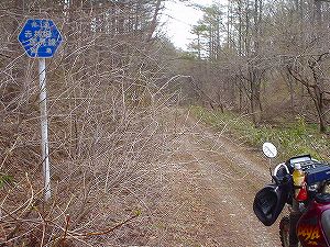 �R�蓻(�{�镟�������P�O�V���Ԉ䔨������)6-5�^ORR