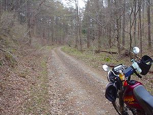 �R�蓻(�{�镟�������P�O�V���Ԉ䔨������)6-6�^ORR