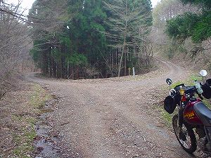 �R�蓻(�{�镟�������P�O�V���Ԉ䔨������)6-7�^ORR