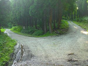 �O�{����(������]�������������)1-6�^ORR