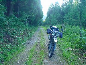 �O�{����(������]�������������)2-1�^ORR