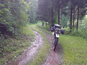 �O�{����(������]�������������)2-3�^ORR