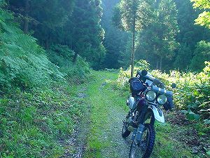 �O�{����(������]�������������)2-4�^ORR