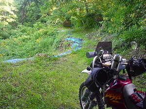 �O�{����(������]�������������)2-5�^ORR