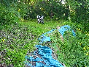 �O�{����(������]�������������)2-6�^ORR