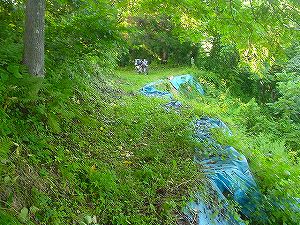 �O�{����(������]�������������)3-1�^ORR