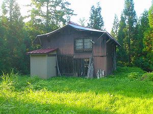 �O�{����(������]�������������)4-1�^ORR