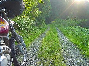 �O�{����(������]�������������)4-2�^ORR