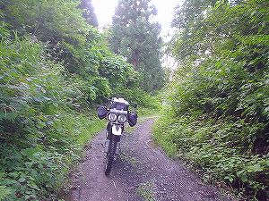 �O�{����(������]�������������)4-4�^ORR