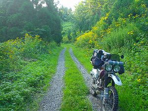 �O�{����(������]�������������)4-5�^ORR