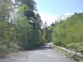 �����H��