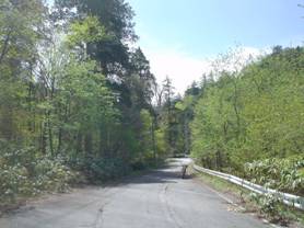 �����H��